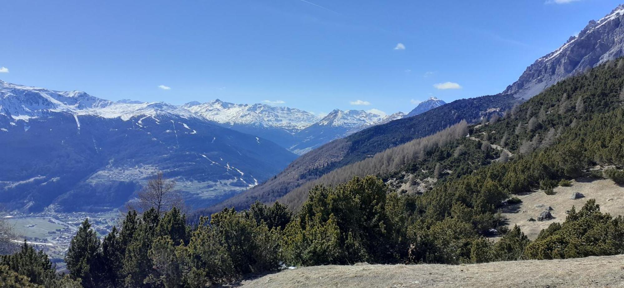 Casa Alu' Lägenhet Bormio Exteriör bild